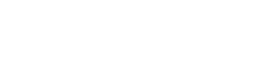 BusinessIntegrator_72dpi_Branco